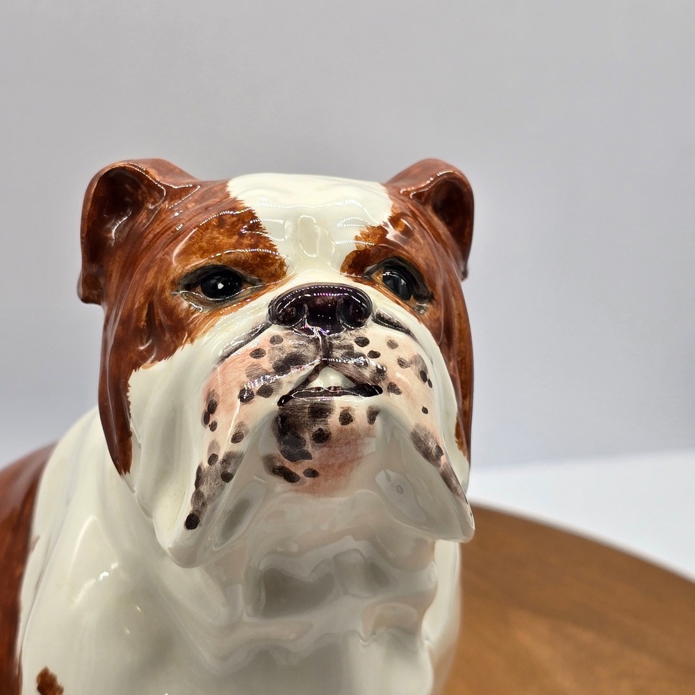 Antique Shafford Bulldog Brown White‎ Ceramic Sitting Dog Japan Collectible - Picture 3 of 11